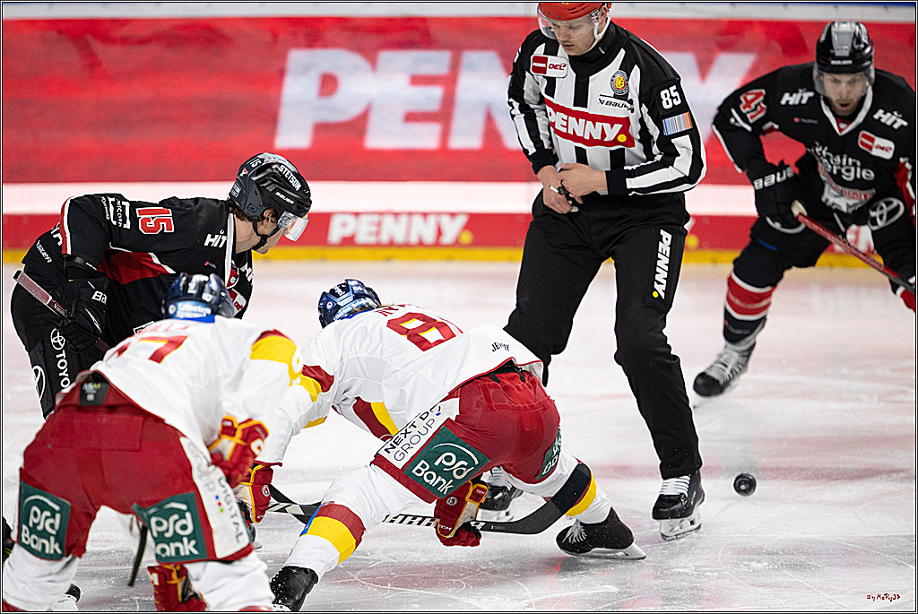 PENNY DEL 1; Kölner Haie - Düsseldorfer EG ; Köln, 16.02.2025
